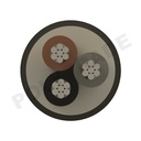 NA2XY 3x300 CL-2 RM 0.6/1kV