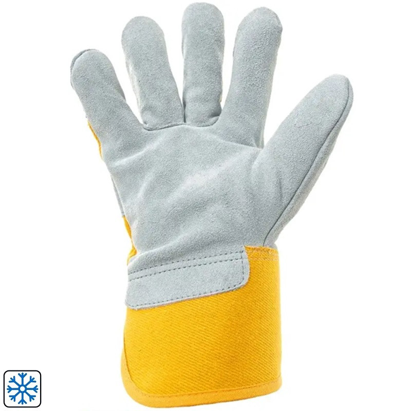 Yellow Gloves, Dingo Winter