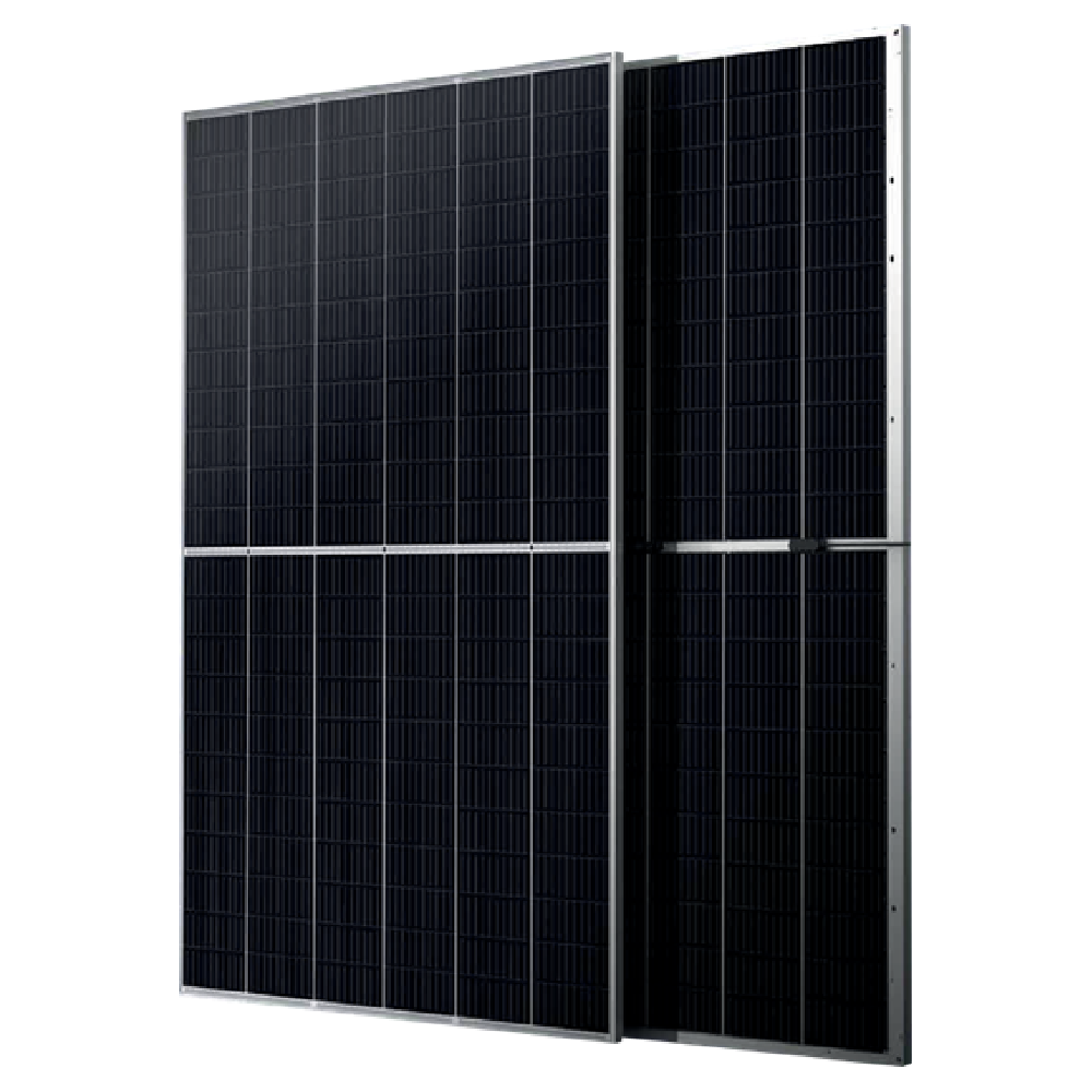 TALESUN Bifacial Dual Glass Half-Cut Mono Perc TD8G66M-144-670W Solar Panel