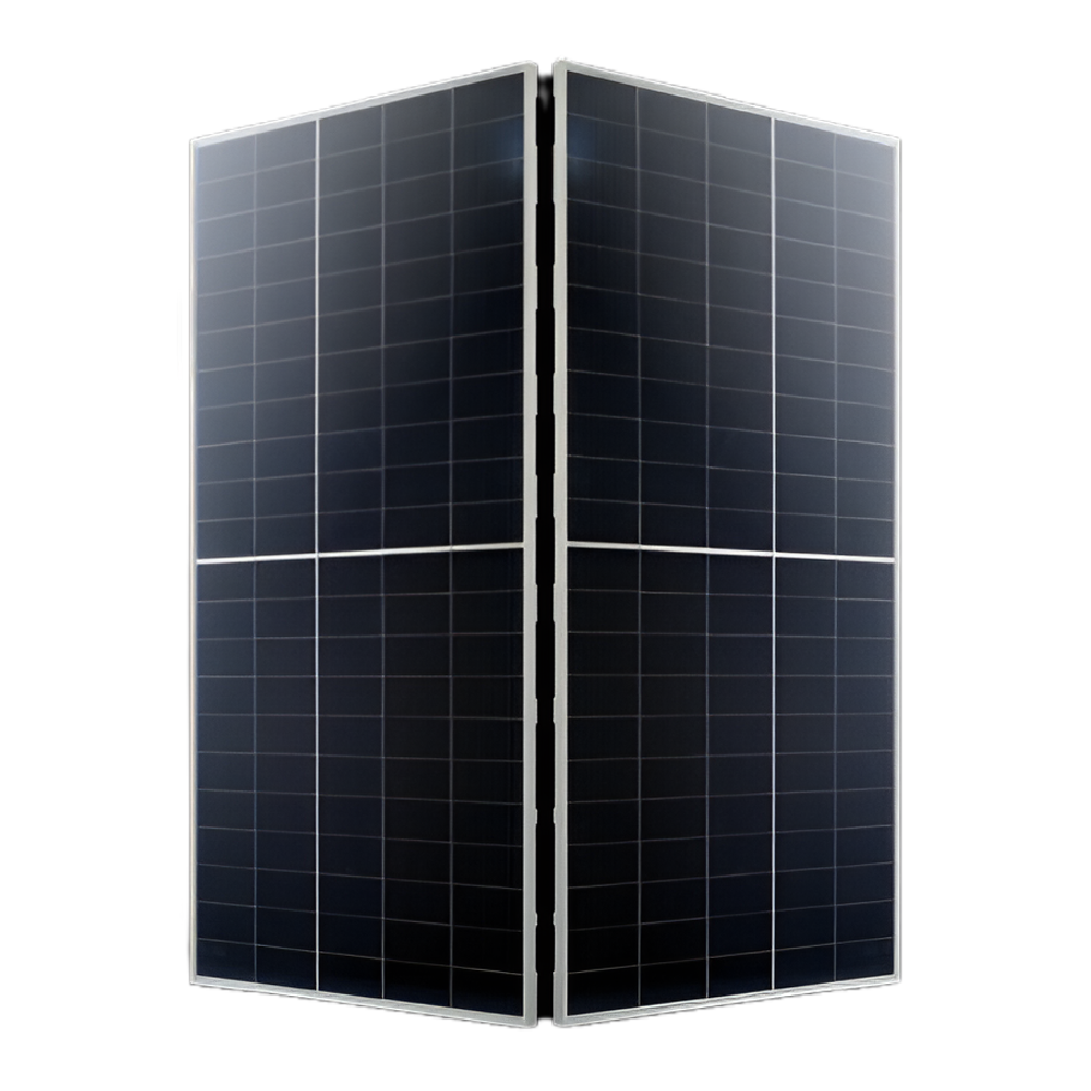 RISEN ENERGY, RSM110-8-550BMDG, Standard Bifacial Monocrystalline PERC half-cut cells 550Wp Solar Panel