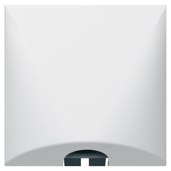 Legrand 077551, Iesire Pentru Cabluri, 16 A Cu Colier PrIndere Cablu, 2 Module, Alb