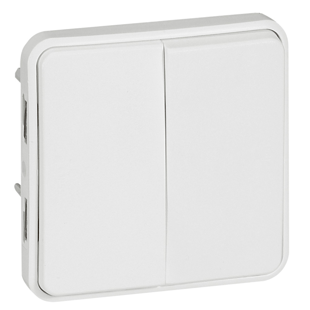 LEGRAND 070726, Double Head,ladder Switch Plexo IP 55, 10 AX, 250 V, Antimicrobial White