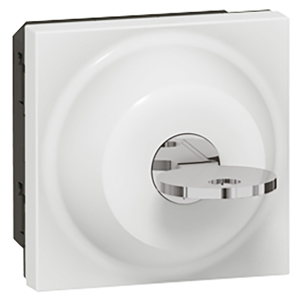 LEGRAND 077072, Key Switch, 2,POSITION, Ronis Key, 2 Modules, White