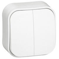 LEGRAND 782402, Forix Double Switch, Surface Mounting, IP 2X, 10 AX, 250 V, White