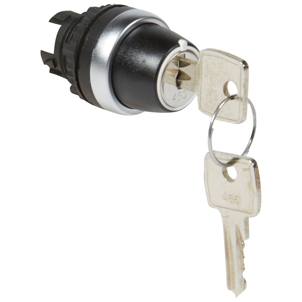 LEGRAND 023950, Control Key with Black Osmosis Button Key, 2 Fixed Positions, 45°