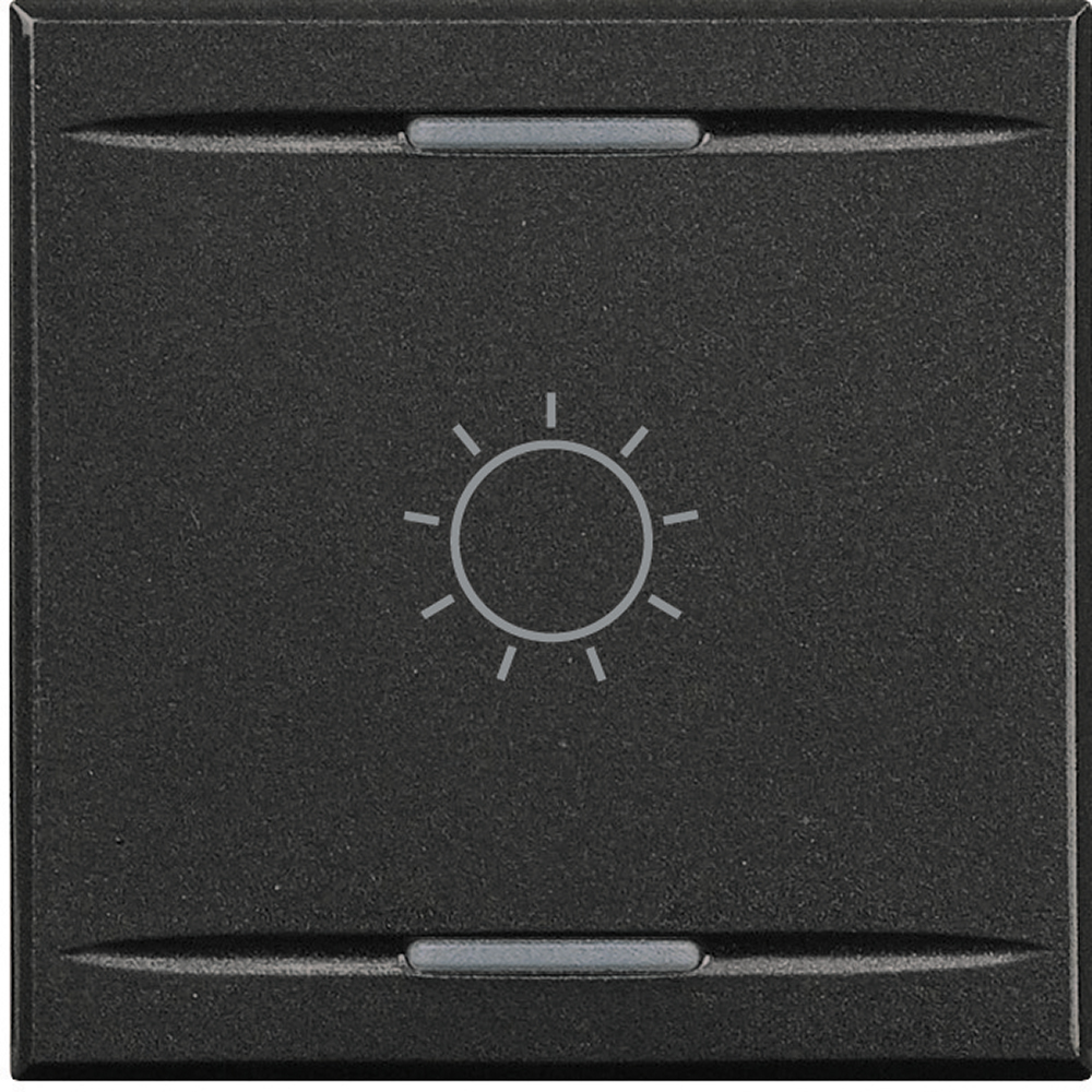 BTicino HS4911/2BA, Axolute Myhome Bus Key Cover, Rocker Switch Lighting Symbol, 2 Modules, Anthracite