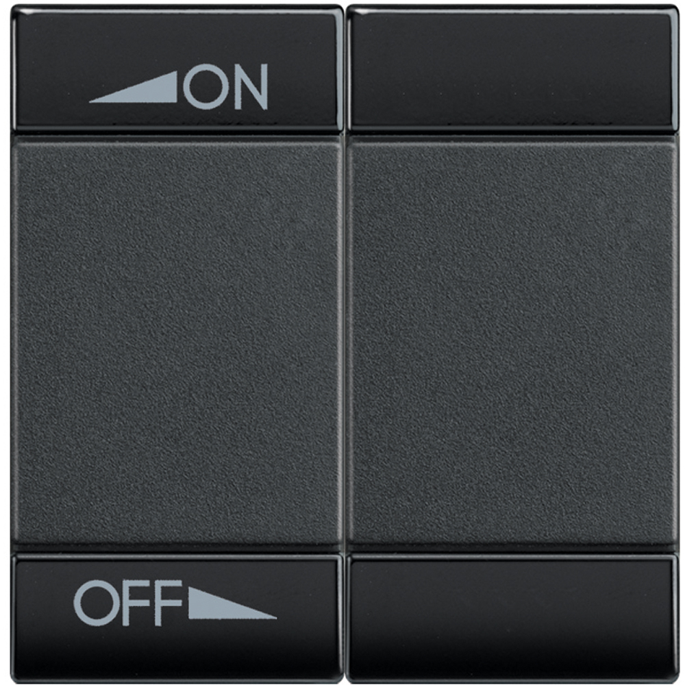 BTicino L4911M2AIN, Livinglight MyHome Bus, Capac buton, difuzie sonoră variabilă, 2 module, Antracit  