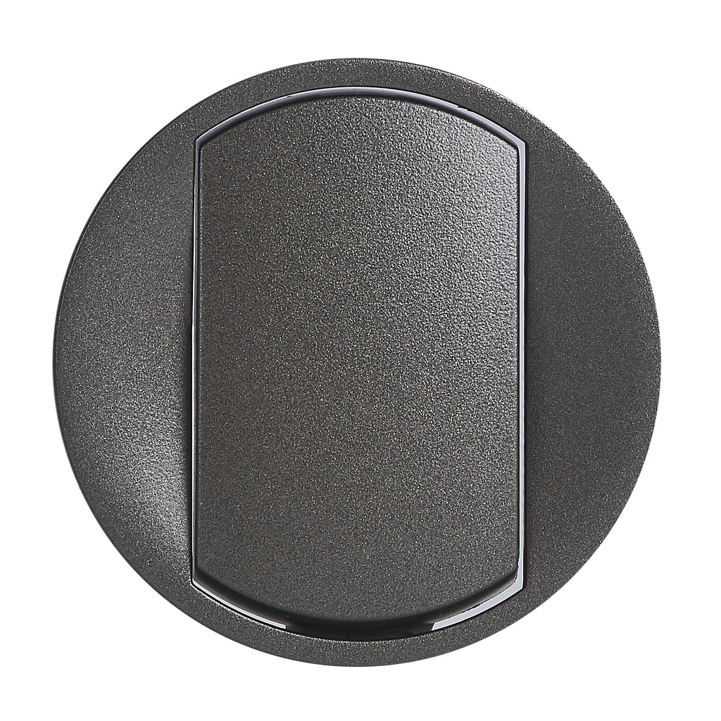 Legrand 067901, Céliane Plate, Switch/Button, Large Graphite Key