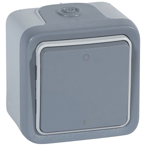 [PTG264.01519] Legrand 069717, Întrerupator Bipolar, 10 AX, 250 V, Gri