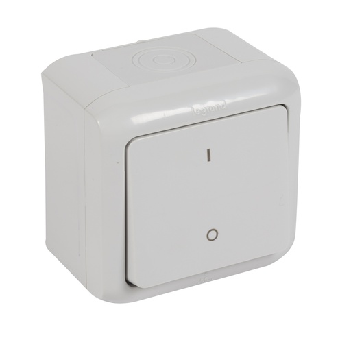 [PTG264.01660] Legrand 782386, Intrerupator Bipolar Forix, Montaj Aparent, 10 AX, 250 V, Gri