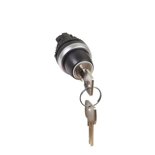 [PTG264.02112] Legrand 023951, Cheie De Comanda Cu Cheie Buton Negru Osmoz, 2 Pozitii Fixe, 45° (0 12H)