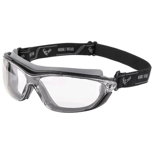 [PTG241.00004] Goggles, FORS