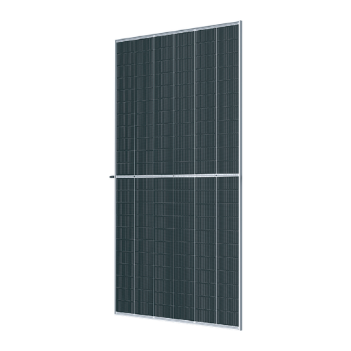 [PTG265.01962] SUNPRO POWER, SP660W-132M12, Standard Bifacial Mono-Crystalline PERC 660Wp Solar Panel