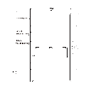 RISEN ENERGY, RSM120-8-595M, Standard Monofacial Monocrystalline PERC half-cut cells 595Wp Solar Panel