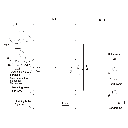 JA SOLAR, JAM72S30-GR-545W, Standard Monofacial Monocrystalline 11B PERC Half-Cell 545Wp Solar Panel