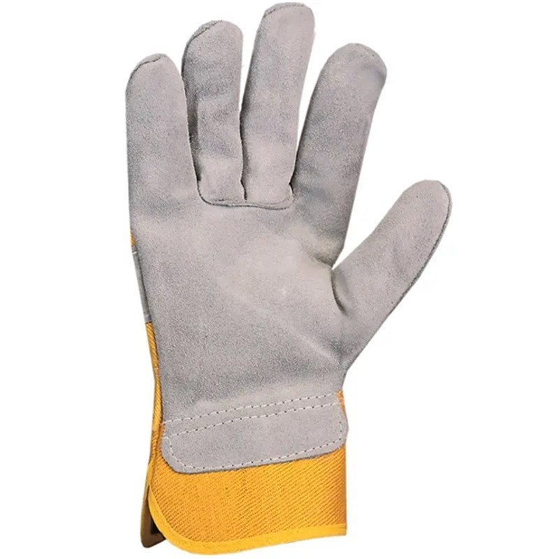 Yellow Gloves, Dingo