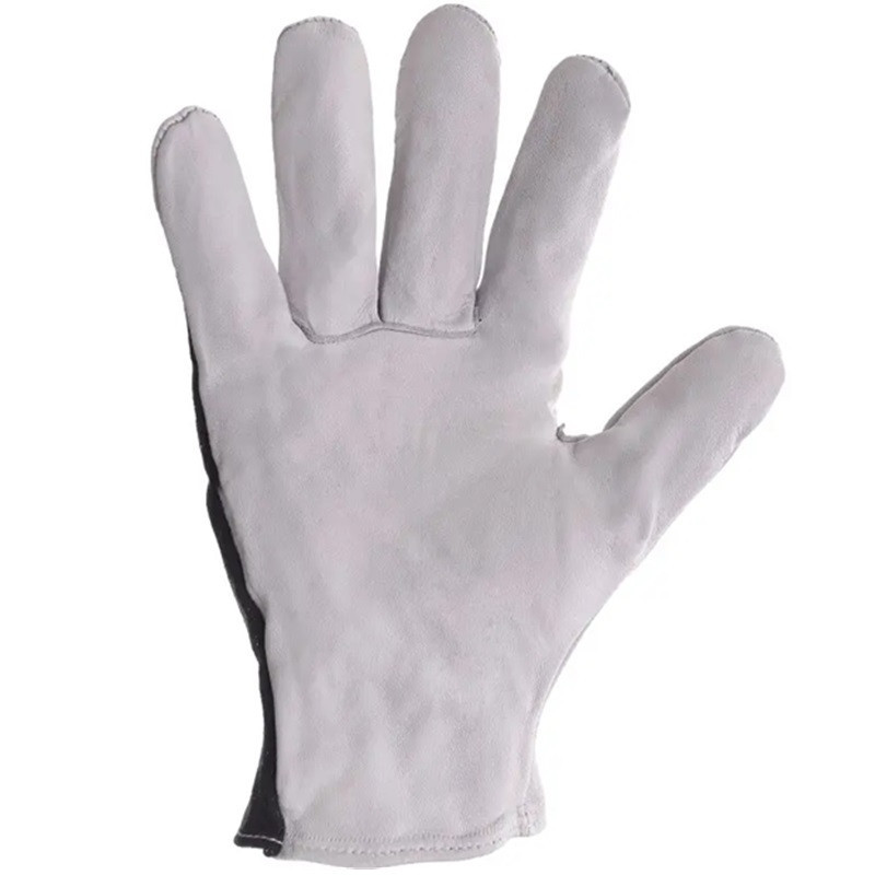Black Gloves, Technik Eco