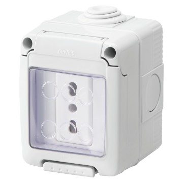 GEWISS GW27841, Watertight Enclosure Complete with System Devices, with Socket Outlet 2P+e 16A Dual Amperage, Italian Standard, IP55, Grey Ral 7035
