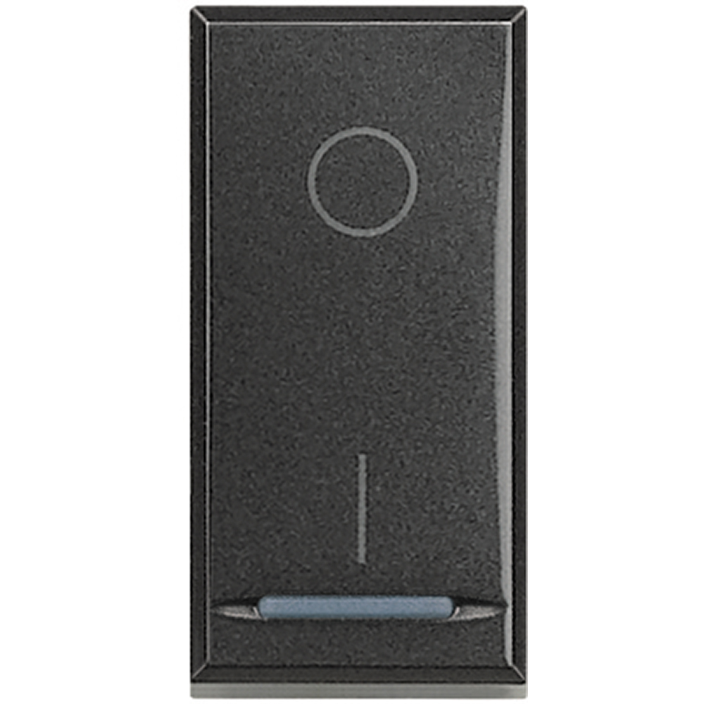 BTICINO HS4002, Bipolar Switches 20 A Axolute, Anthracite, 1 Module