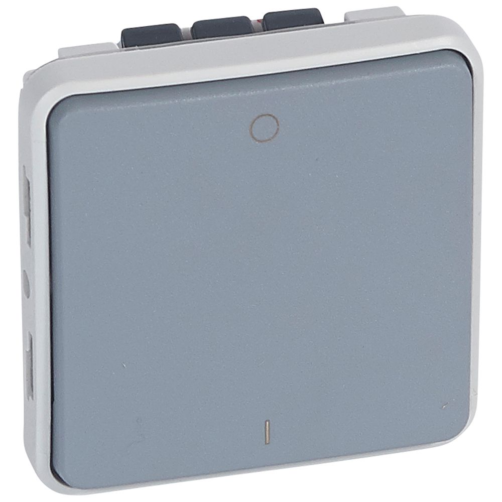 LEGRAND 069527, Plexo Bipolar Switch, IP 55,IK 07, 16A,250V, Gray
