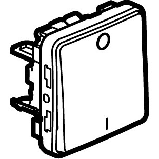 LEGRAND 069530, Bipolar Switch Plexo IP 55, 10 AX, 250 V, Grey