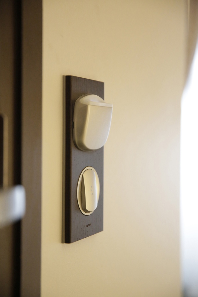 LEGRAND 069202, Céliane Plate, Materials, 2 Modules, Wengué Shade