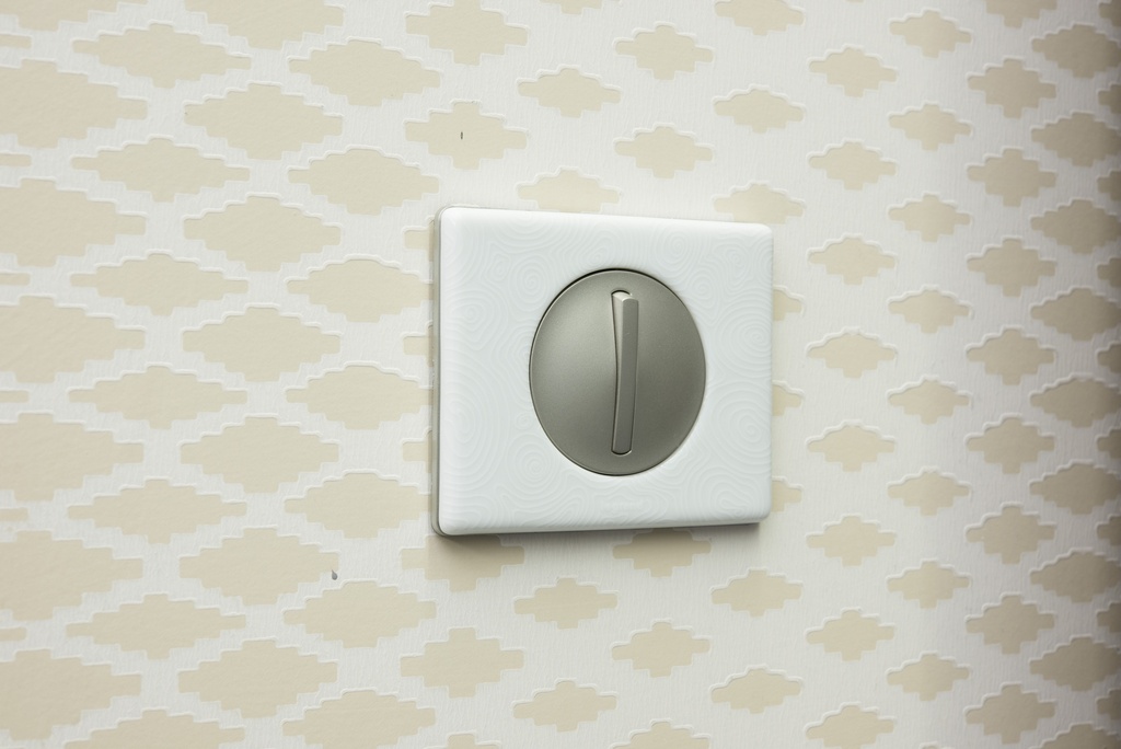 Legrand 069351, Placă Céliane, Materiale, 1 Post, Dream (Porțelan)