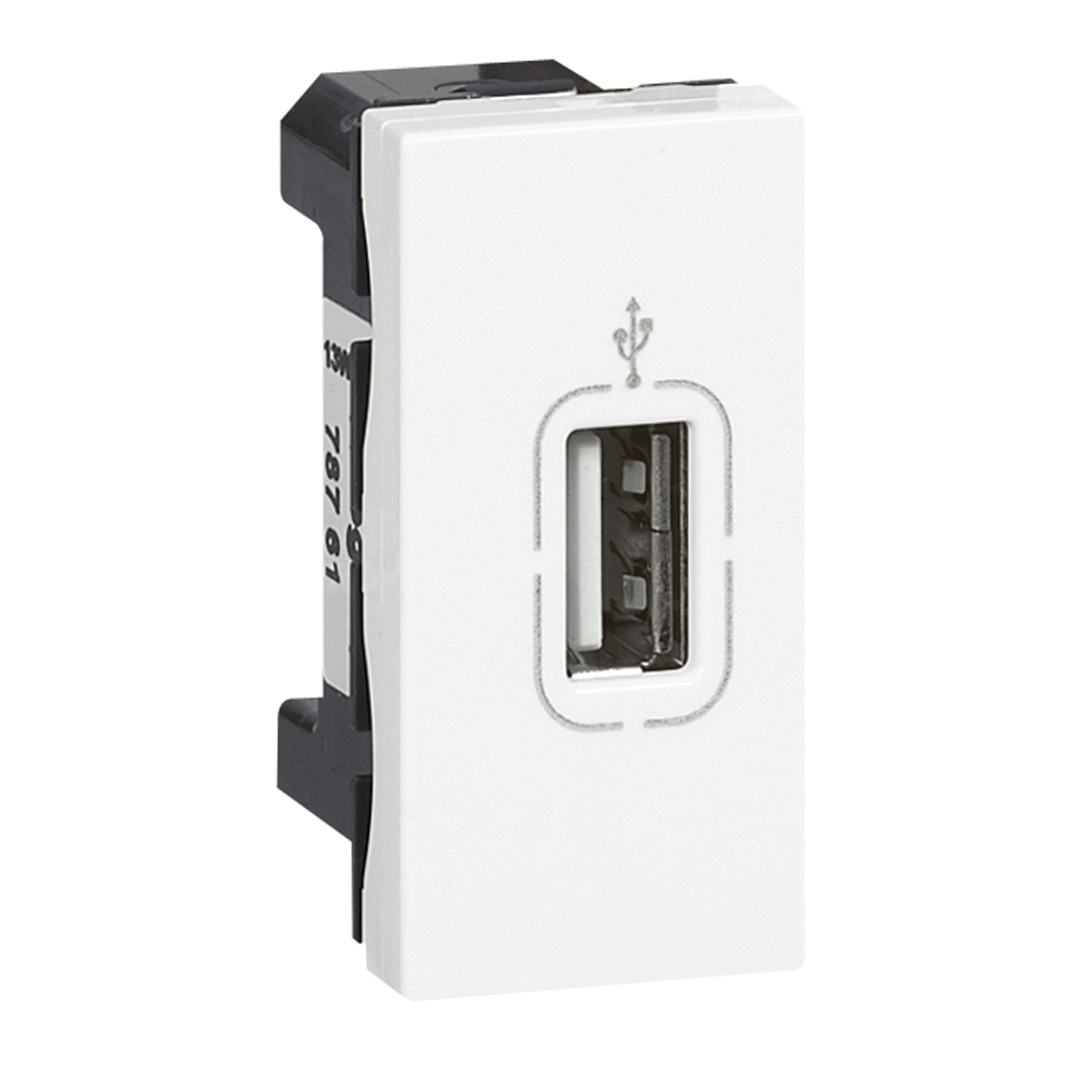 LEGRAND 078761, Prize USB mamă pentru transfer de date, Conexiune cu șuruburi, Alb