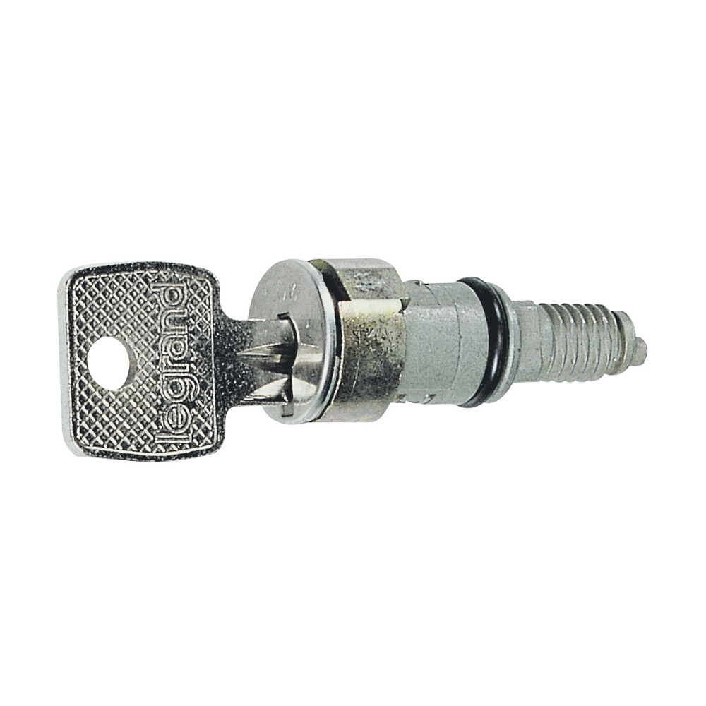 LEGRAND 036823, Key Barrel, for Key No. 421, Supplied With 2 Keys