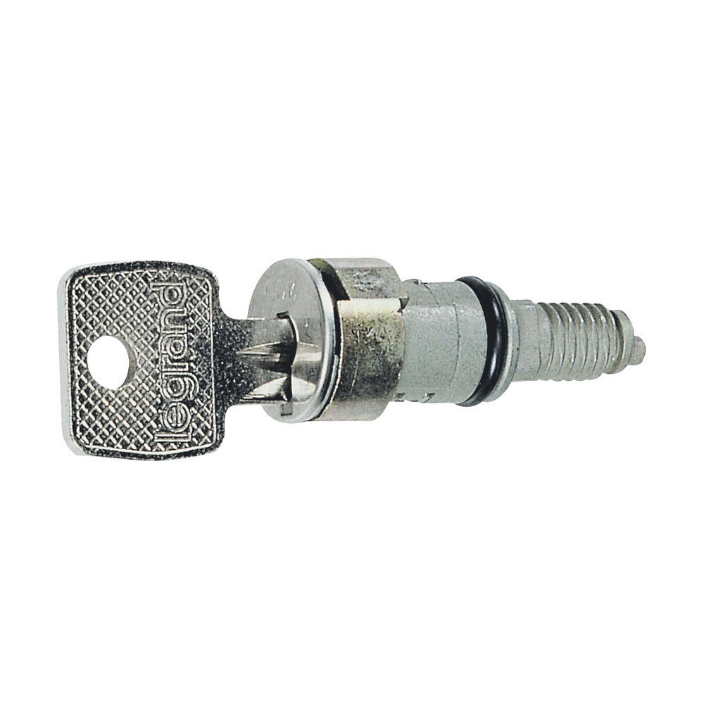 LEGRAND 036825, Key Barrel, for Key No. 1242E, Supplied With 2 Keys