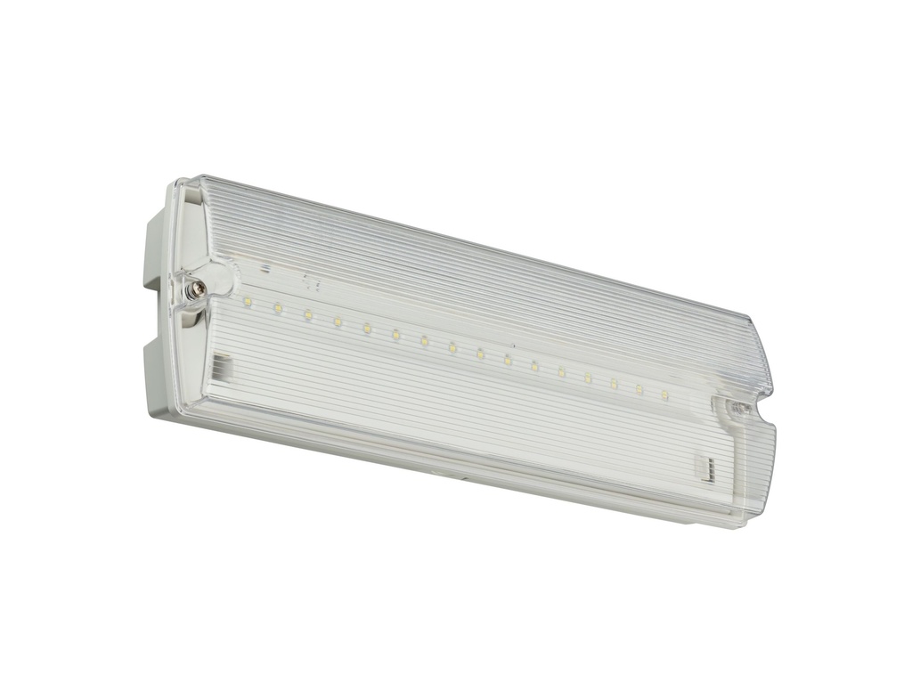 PHILIPS 912401483510, Emergency Bulkhead, Emergency bulkhead, 4W, 4W, 351x111 mm; H63 mm, 175 lm, 6500 K, IP65, ELB3h
