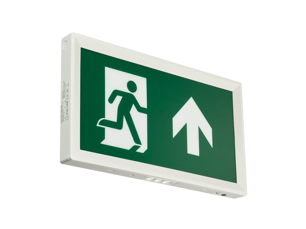 PHILIPS 912401483515, Exit Sign, Illuminated emergency exit sign, 4W, 4W, 330x186mm; H30 mm, 85 lm, 6500 K, IP20, ELB3h