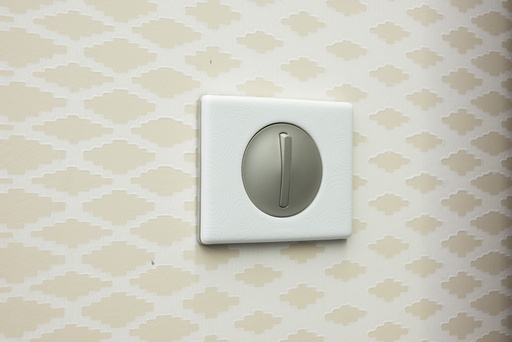 [PTG013.02128] LEGRAND 069351, Céliane Plate, Materials, 1 Post, Dream (Porcelain)