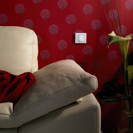 [PTG032.00296] LEGRAND 068001, Céliane Plate, Switch/Button, Large Key, White