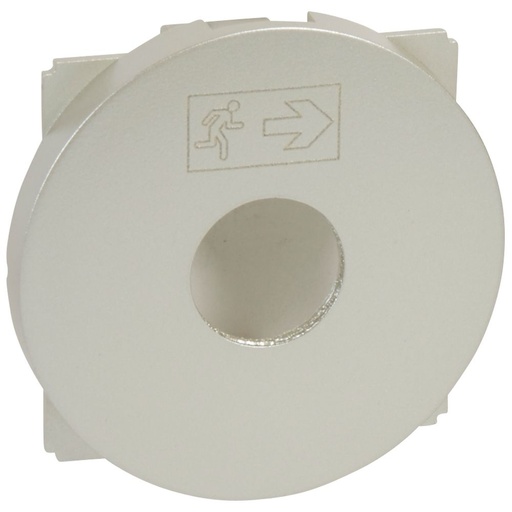 [PTG032.00364] Legrand 068499, Placă Céliane, Comutator cu cheie BAES, Titan  