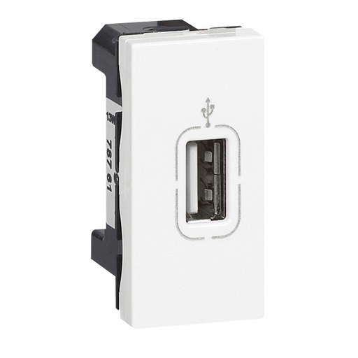 [PTG031.00094] LEGRAND 078761, Prize USB mamă pentru transfer de date, Conexiune cu șuruburi, Alb