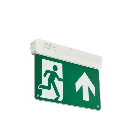 [PTG080.00025] PHILIPS 912401483519, Exit Sign, Illuminated emergency exit sign, 3W, 3W, 313x212mm; H42 mm, 23 lm, 6500 K, IP20, ELP3h