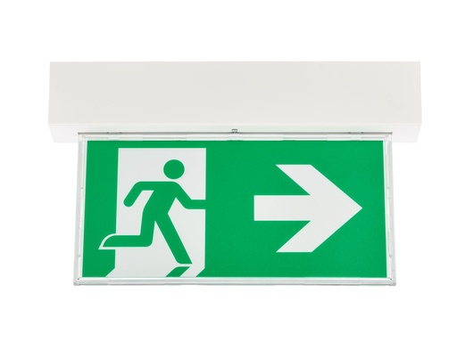 [PTG080.00039] PHILIPS 912401483629, 4W, 235°, Emergency lighting 3 hours duration with Wireless Interface