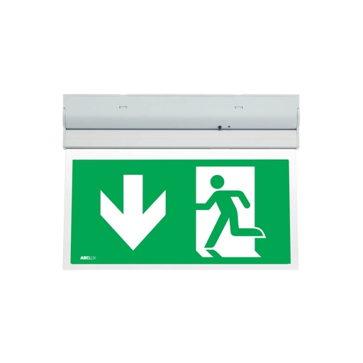 [PTG080.00140] ARELUX,WY10M ADN