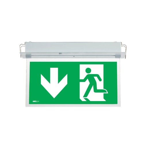 [PTG080.00141] ARELUX,WY30M ADN