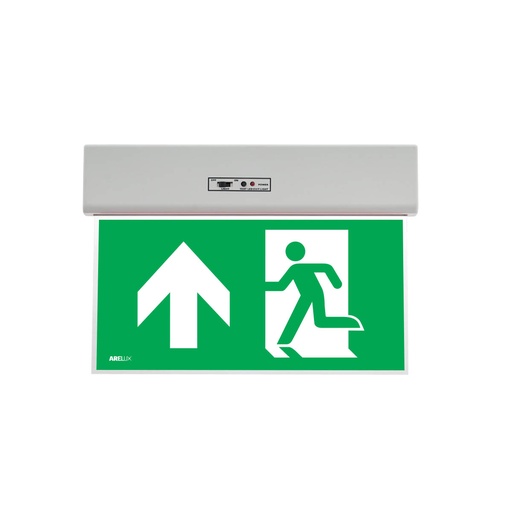 [PTG080.00158] ARELUX, GO10M AUN