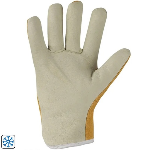 [PTG232.00234] Yellow Gloves, Winter City