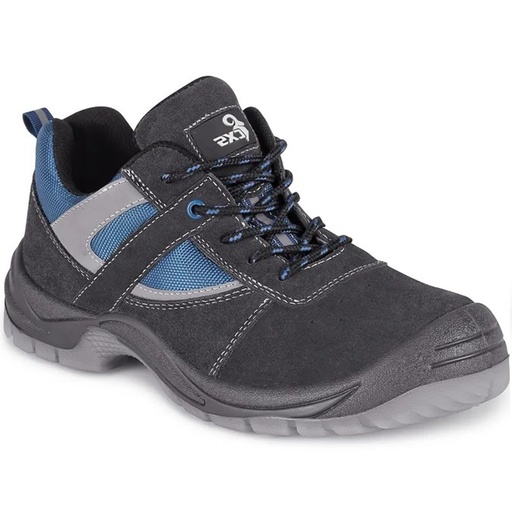 [PTG235.00237] Black Shoes, Dog DOBRMAN O1