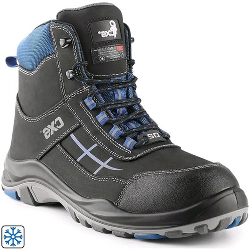 [PTG102.00126] Black Boots, DOG MALAMUTE O2