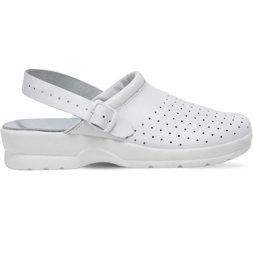 [PTG104.00273] Saboti, ADRIA