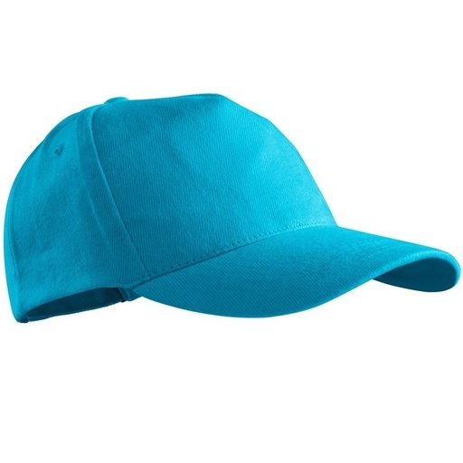 [PTG240.00001] Work Cap, Unisex, 5P