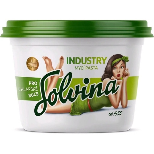 [PTG242.00008] Cleaning Paste, SOLVIN