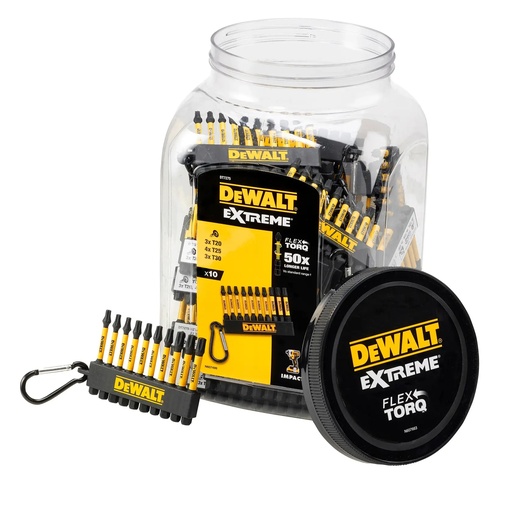 [PTG367.00491] DEWALT Torx Mix FLEXTORQ Screwdriver Bit On A Keyring, 57mm, 10 Pcs, DT7275-QZ