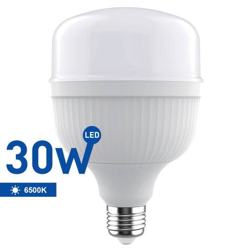 [PTG074.00074] SAMSUNG T-Bulb LED Bulb T100 30W 6500K, WELLMAX